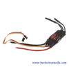 HobbyWing SkyWalker 80A Motor Speed Controller ESC full image